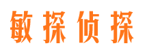 龙文寻人公司